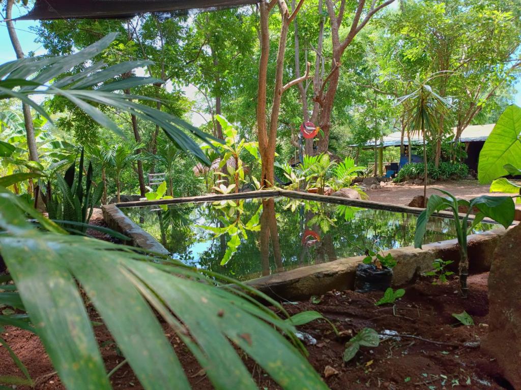 Huellas Hostel