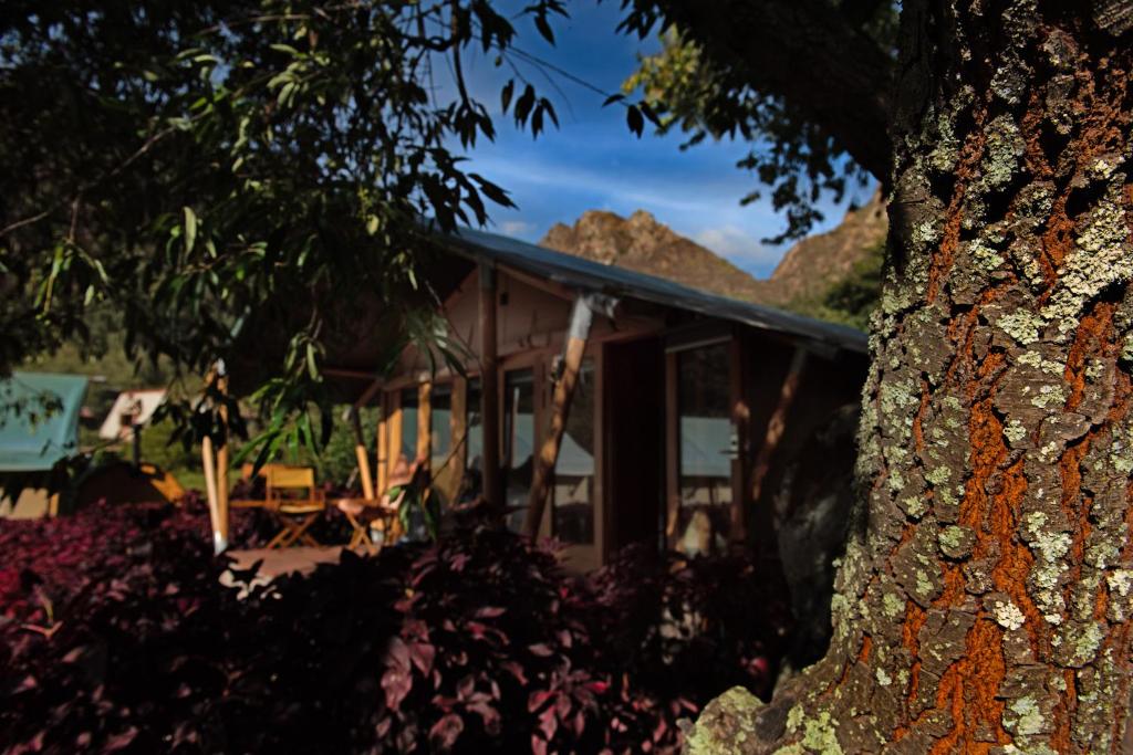 Las Qolqas EcoResort Ollantaytambo photo 1