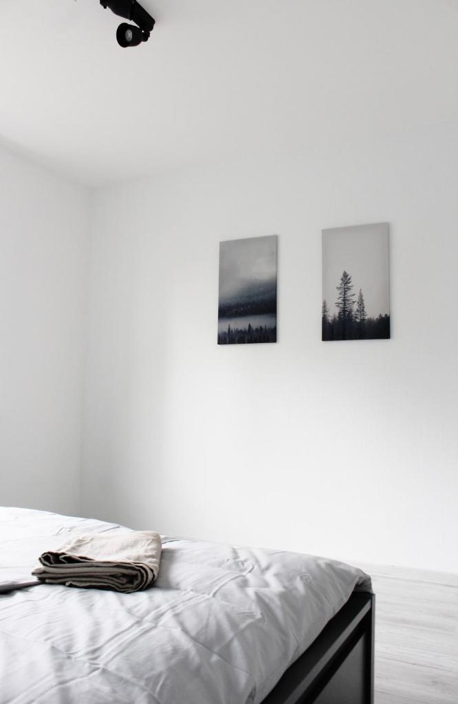 Cozy Bamberg City Apartment photo 4
