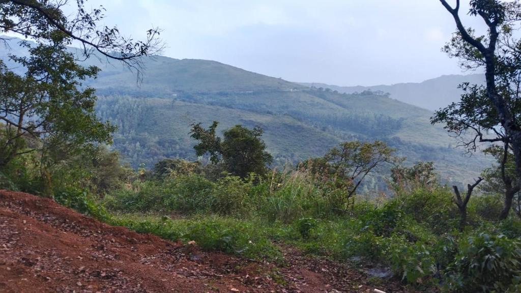 Jhari Mountain View (Tree house) Homestay photo 3