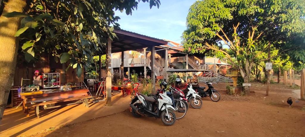 Tree Trails Homestay & Offers Jungle Trekk-Scooter For Rental photo 2
