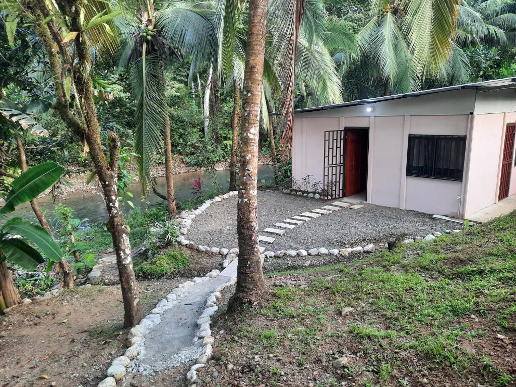 Casa River photo 4