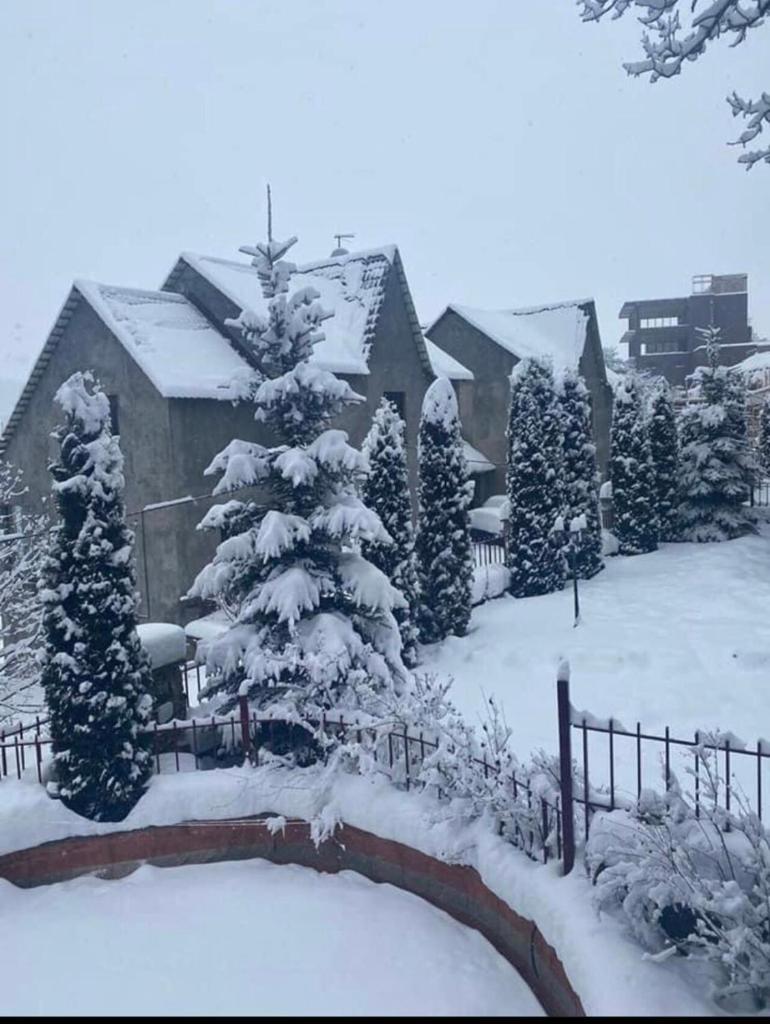 Villadzor Apart Hotel photo 3