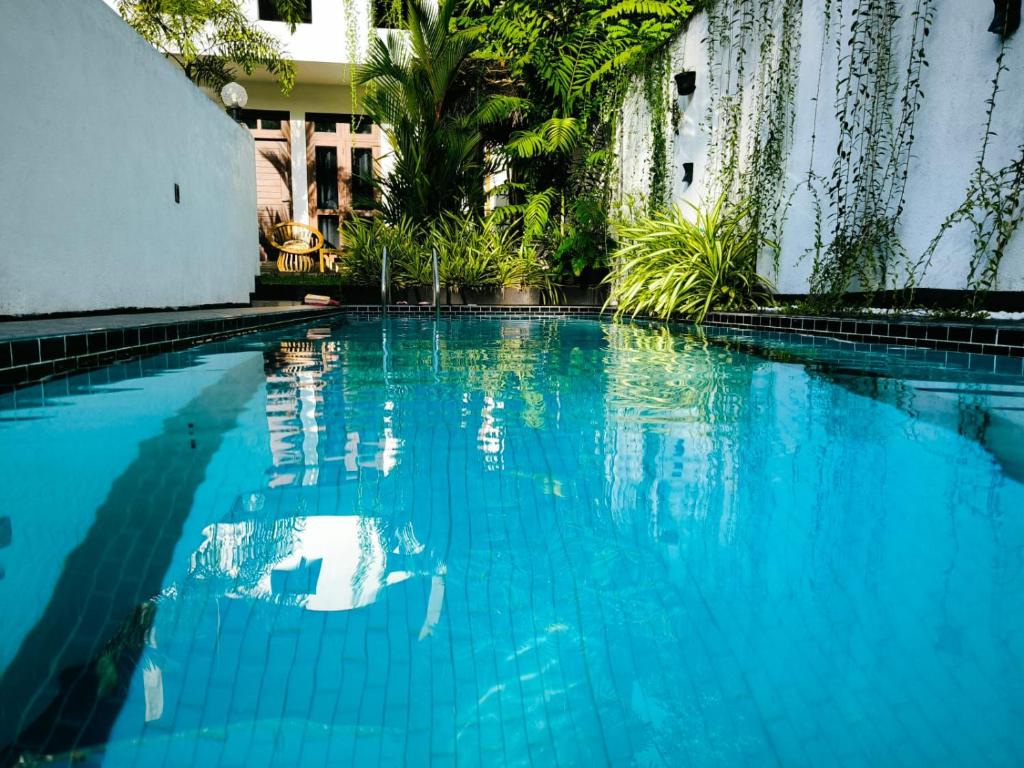 Hidden Villa photo 1