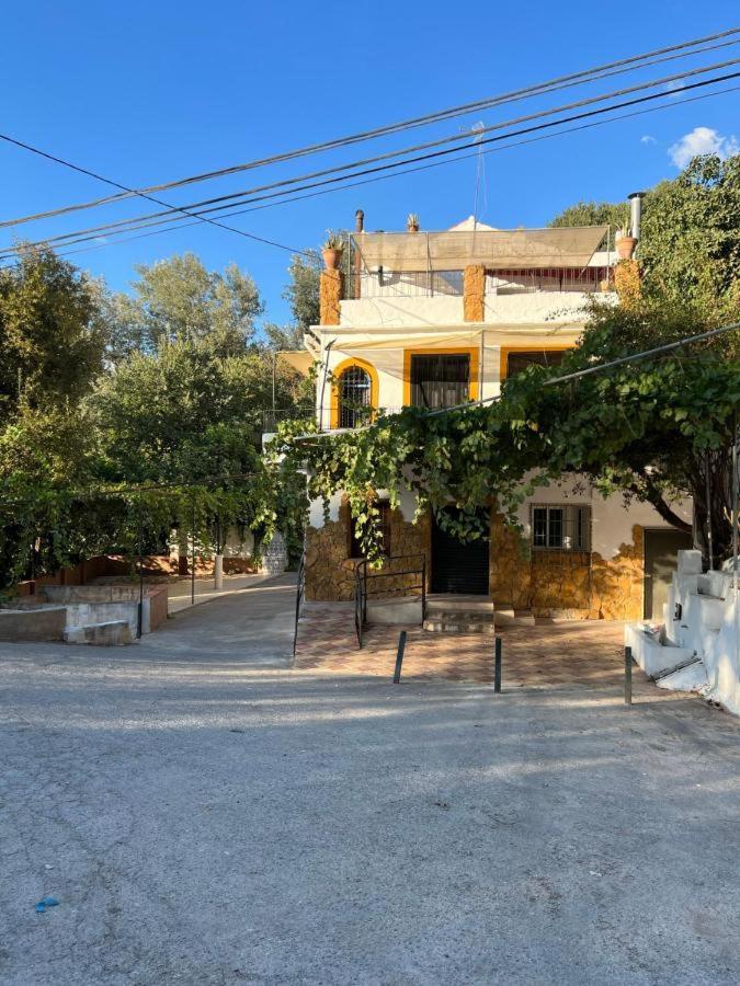El puente de lata 1 photo 2