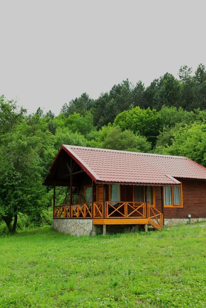 Mengen Rüya Çiftliği photo 2