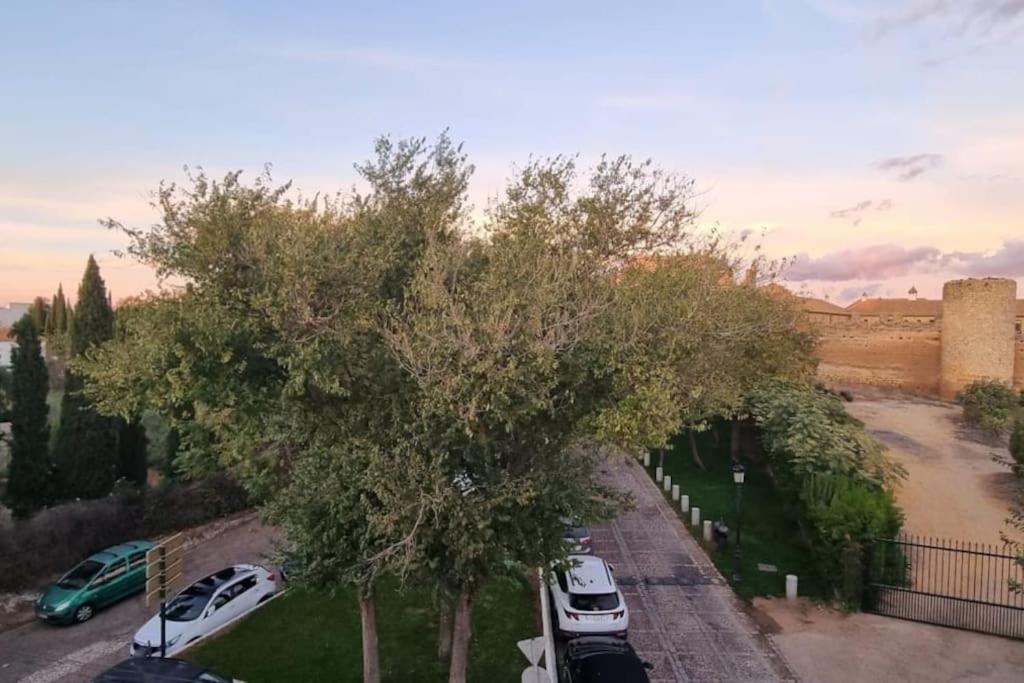 Casa Xanadu Carmona - Apartments in villa with panoramic views photo 2