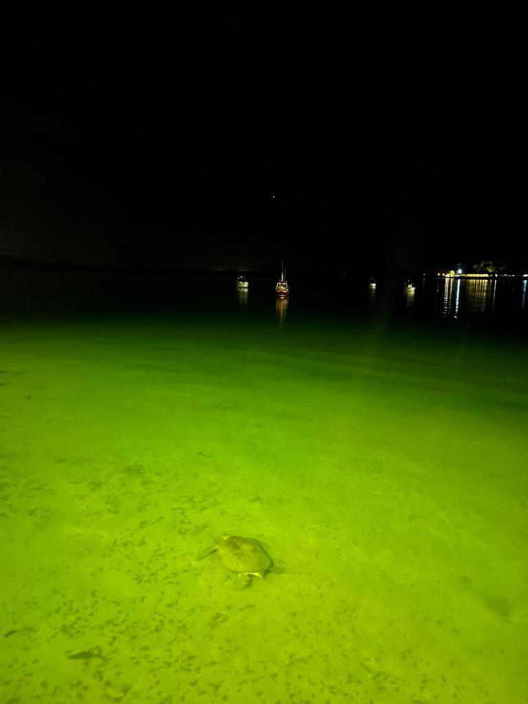 Koh Mook Garden Beach Resort photo 3
