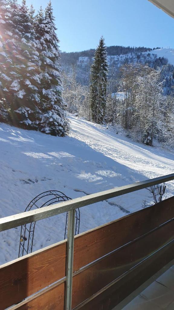 Berghof Appartement 11 photo 3
