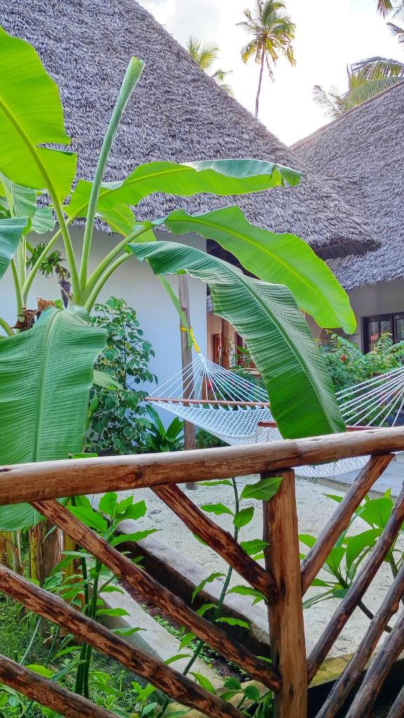 Polly Lodge Bungalow Zanzibar Kiwengwa photo 4