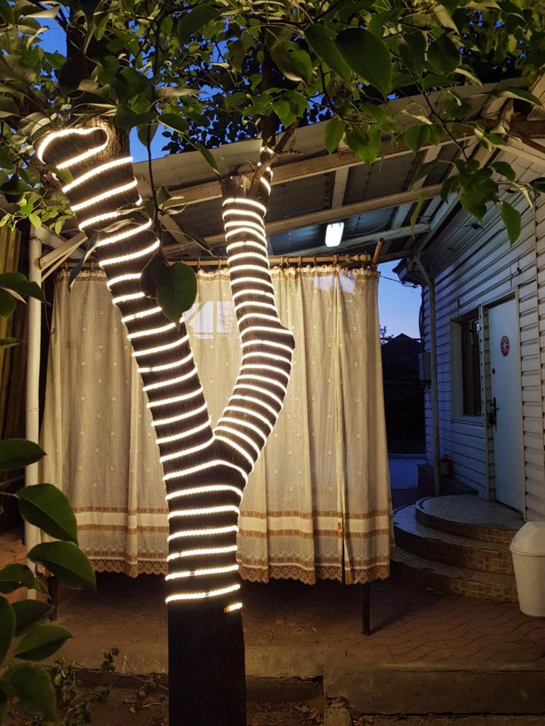 Garden House photo 1