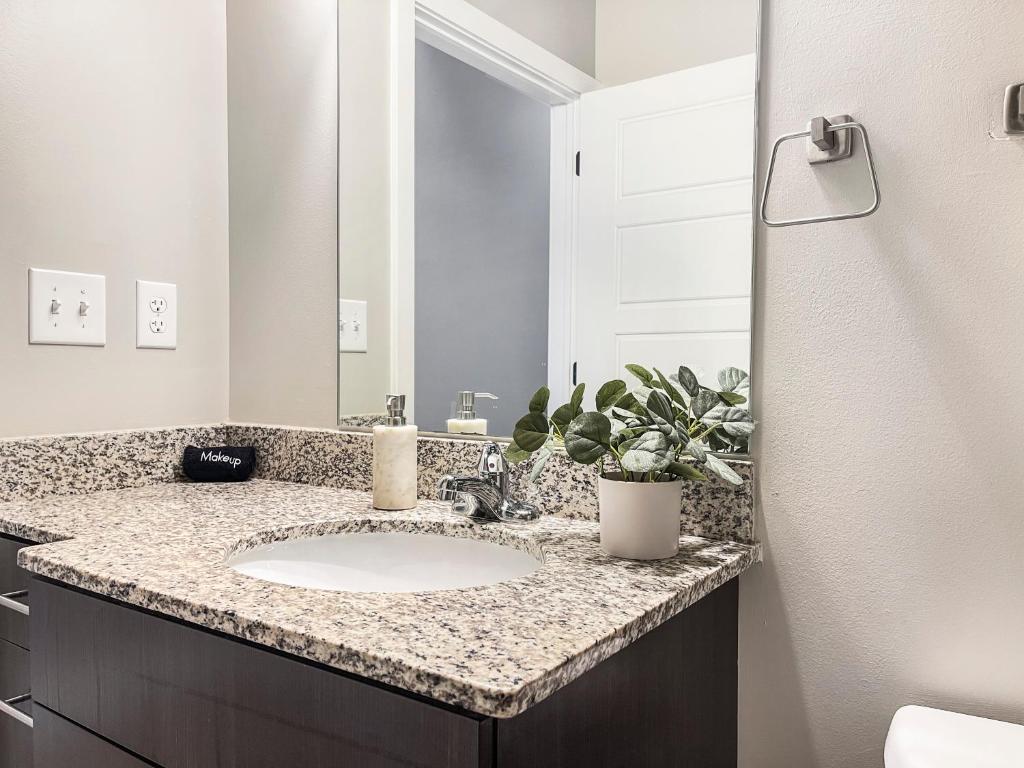 Stunning Downtown Studio With Rooftop Patio photo 4