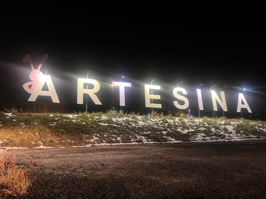 Artesina sulle piste photo 4