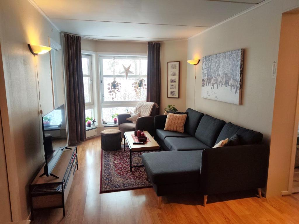 Actif 329 - apartment by Ål skisenter photo 1