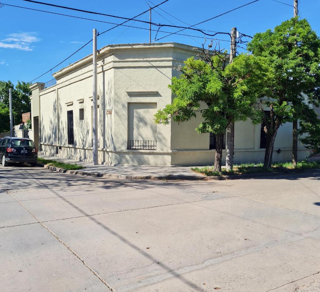 Lechuza Bolivar photo 2