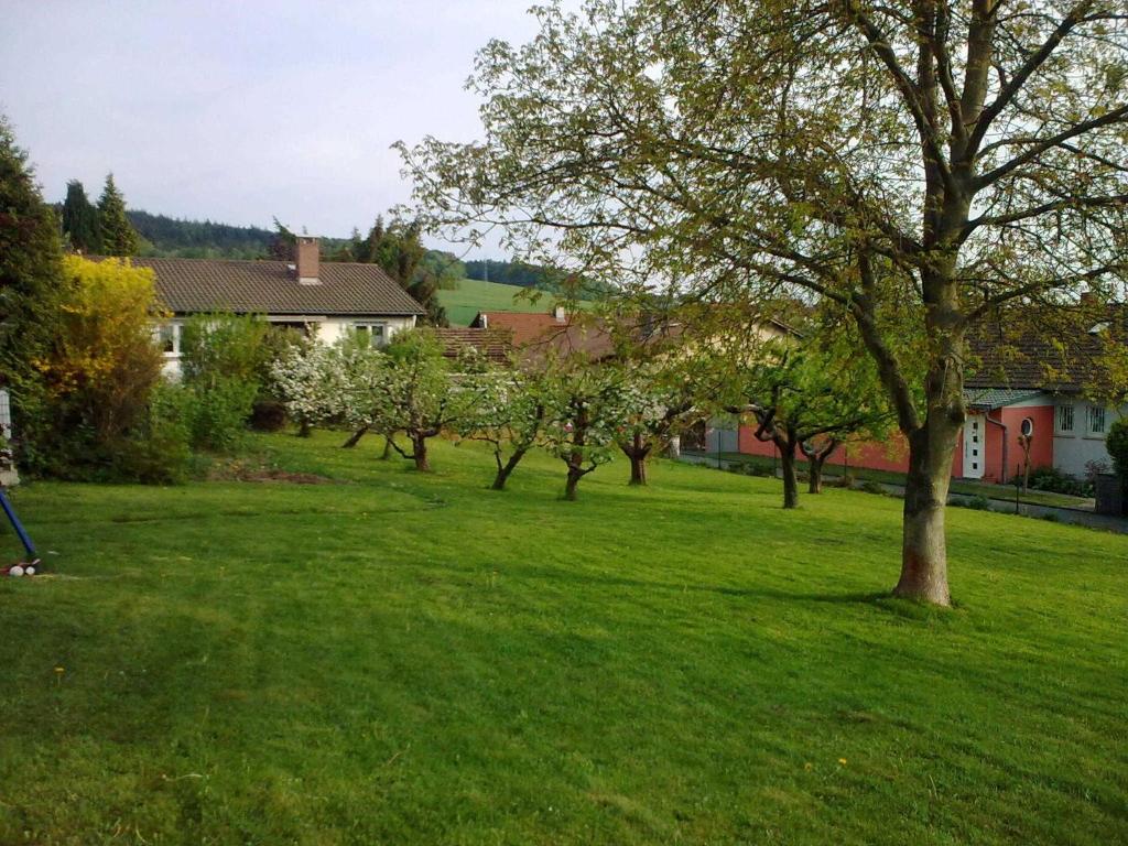 Ferienwohnung Odenwaldblick photo 2