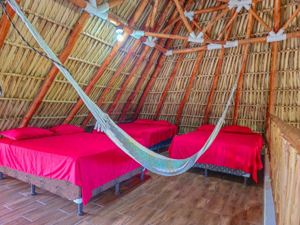 Kadamagy Monterrico photo 1