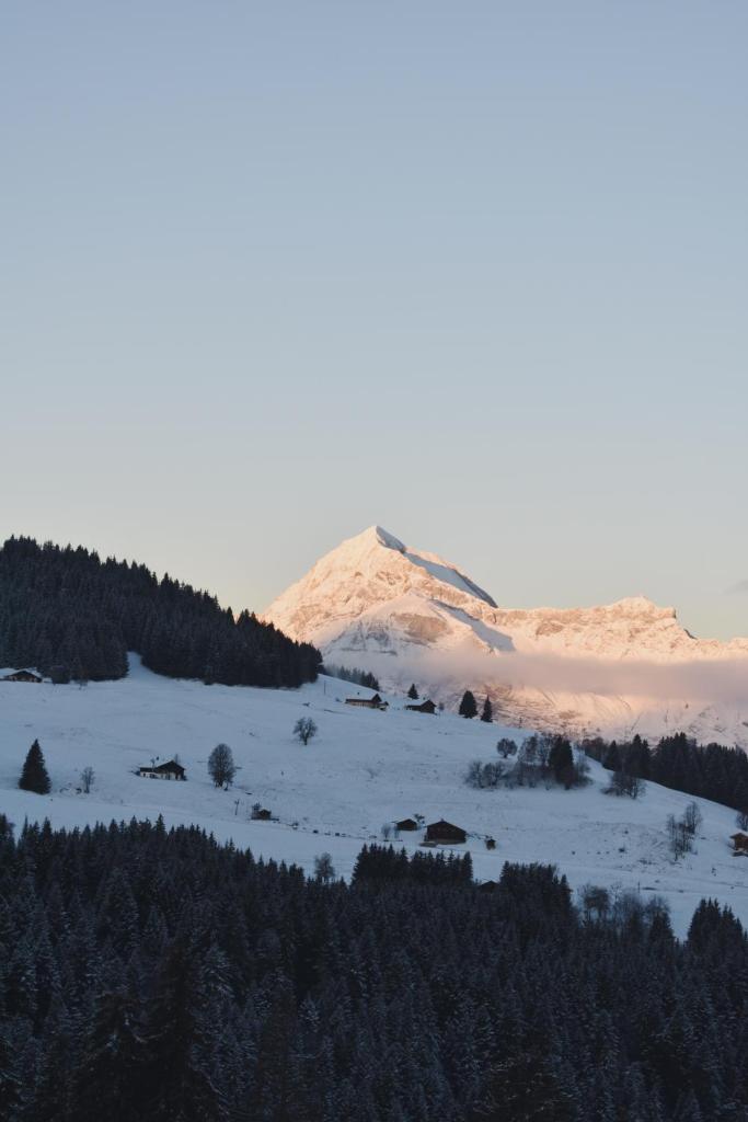 Charmant demi-chalet à la montagne photo 1