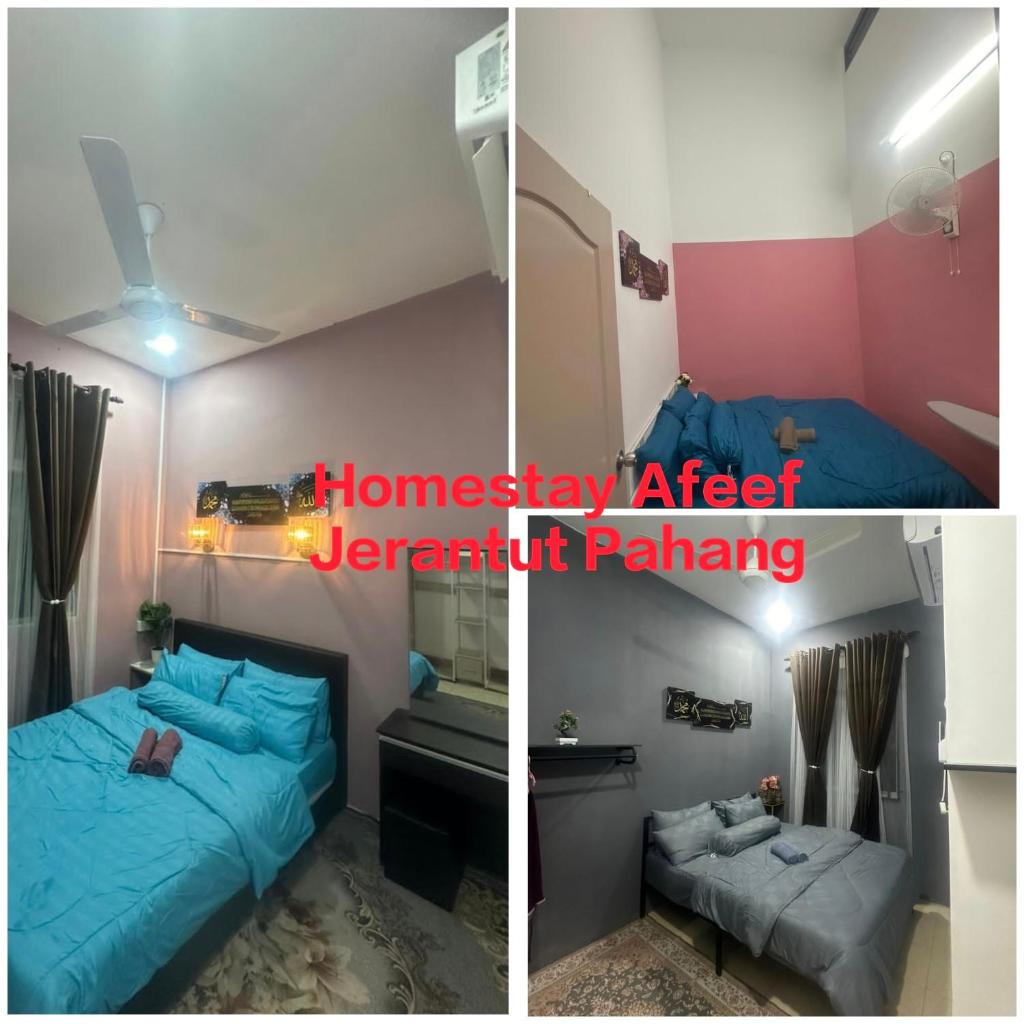 Homestay Afeef Jerantut photo 2