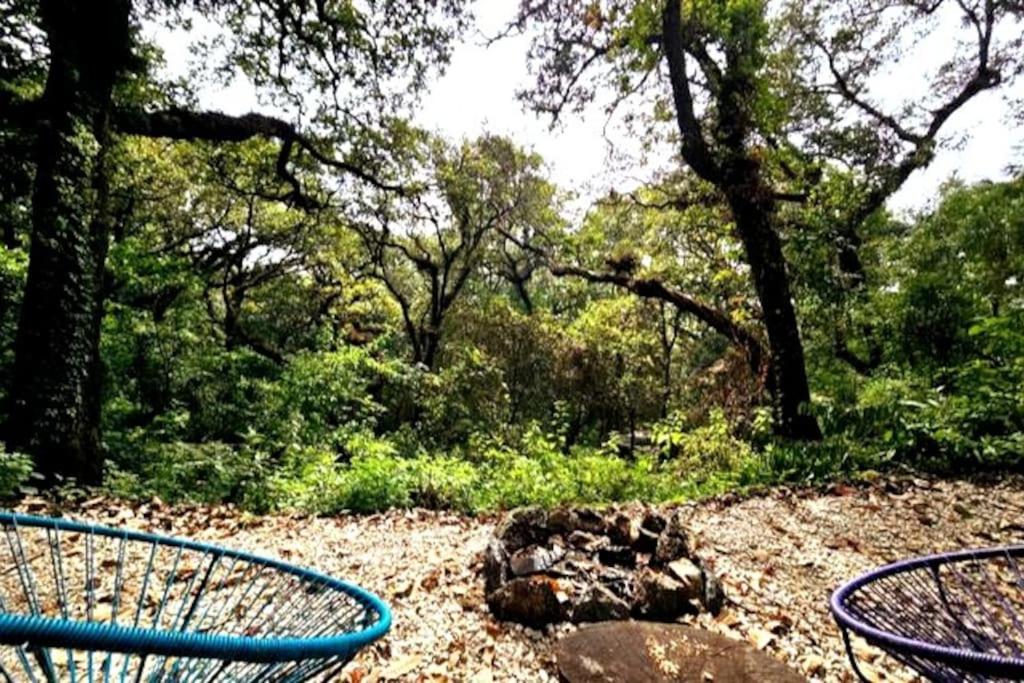 The Red Cabin at the bottom of Tepoztlán's Forest photo 2