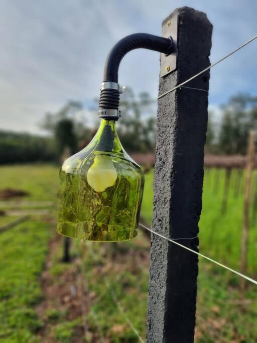 TinyWine House Vale dos Vinhedos photo 3