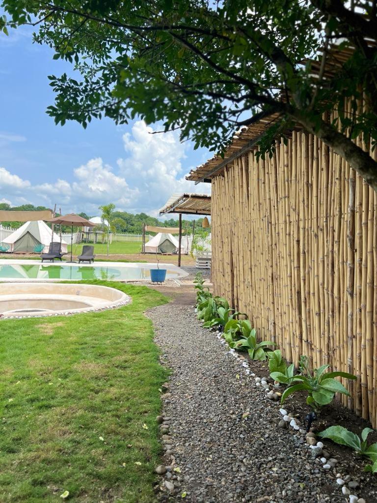 Dharma Glamping photo 1