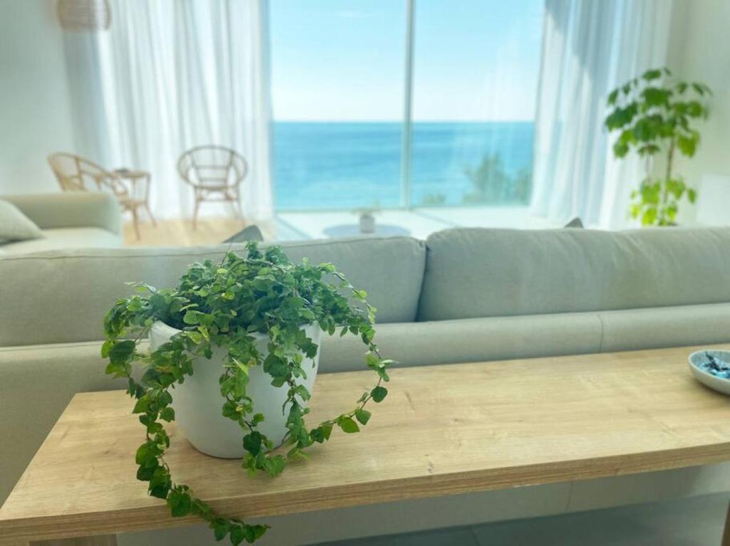 Amchit Bay Beach Residences 3BR Rooftop w Jacuzzi photo 3