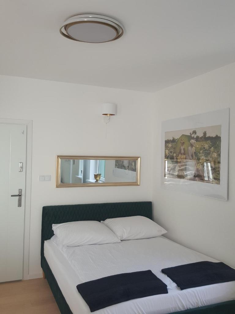 APARTAMENTY ZIELONY KAMELEON photo 3