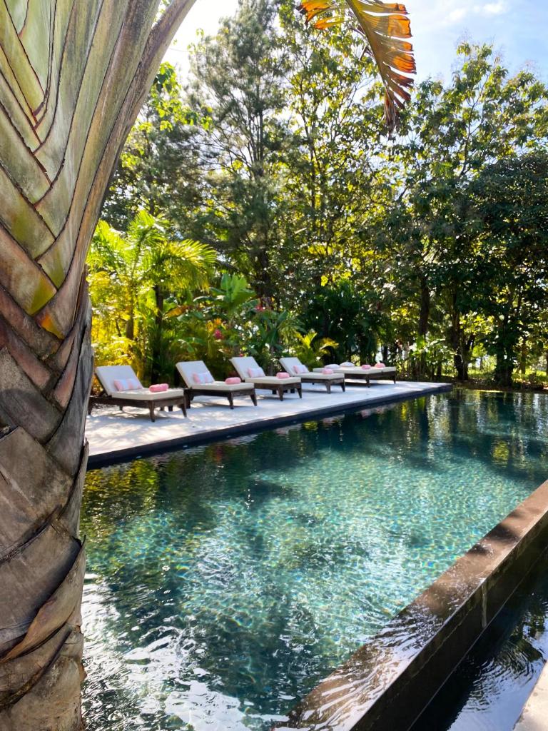 Villa Coco photo 2