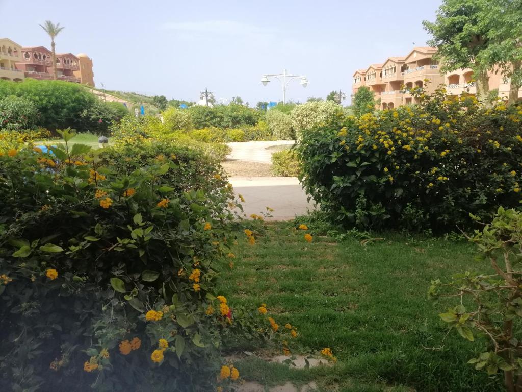 3kTravel rentel photo 3