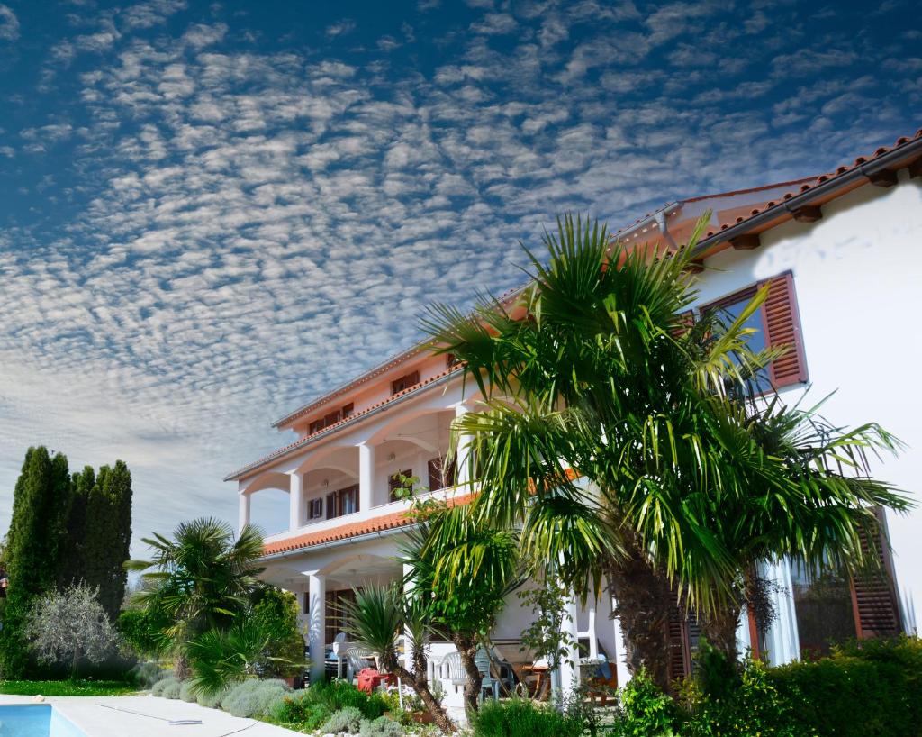 Apartments Aurelia photo 3
