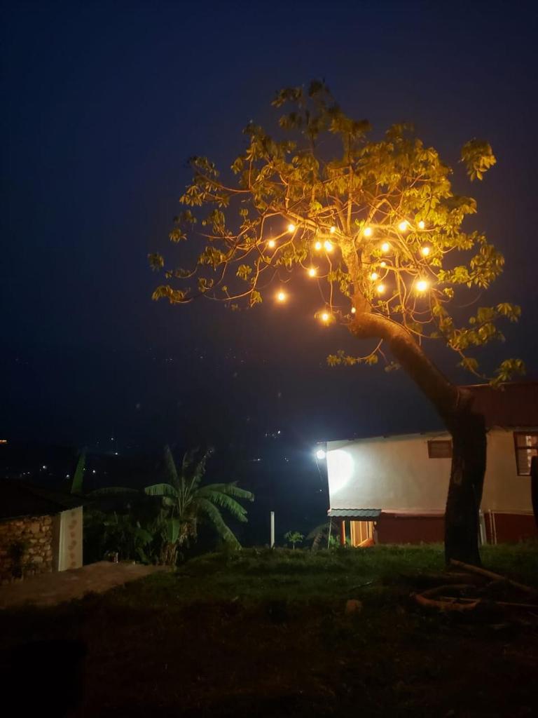 Panchas Retreat Homestay