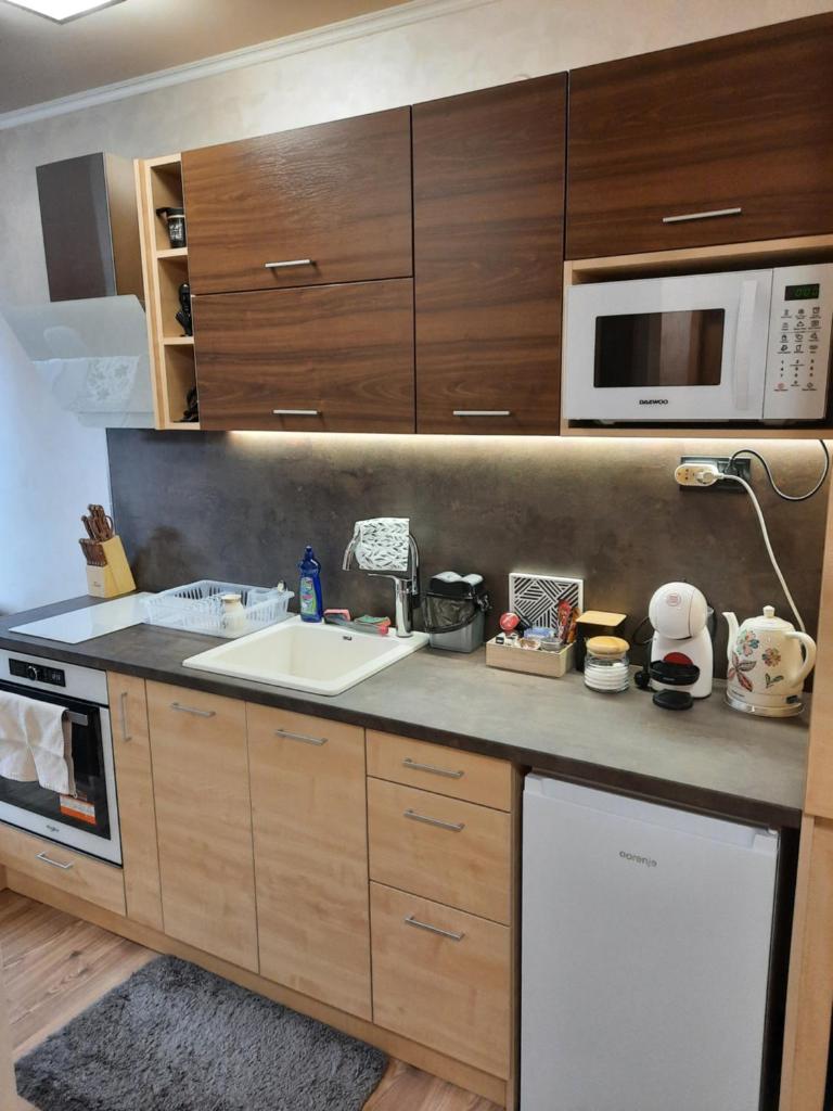 Apartment Svetoslava photo 3