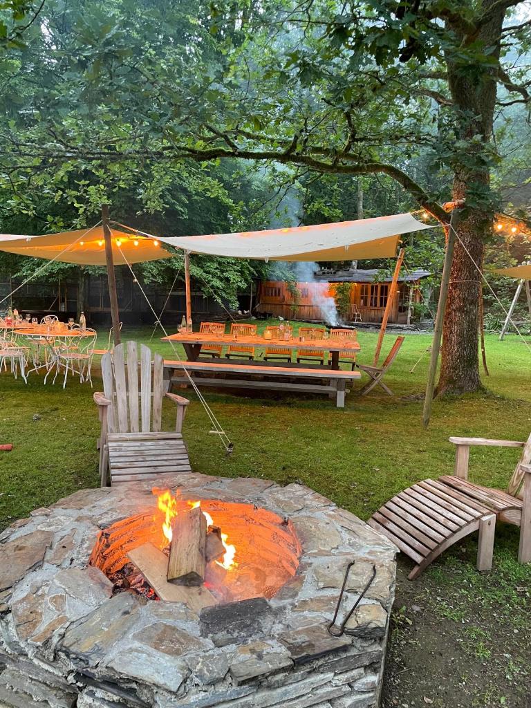 Domaine De L'Ardoisiere photo 4
