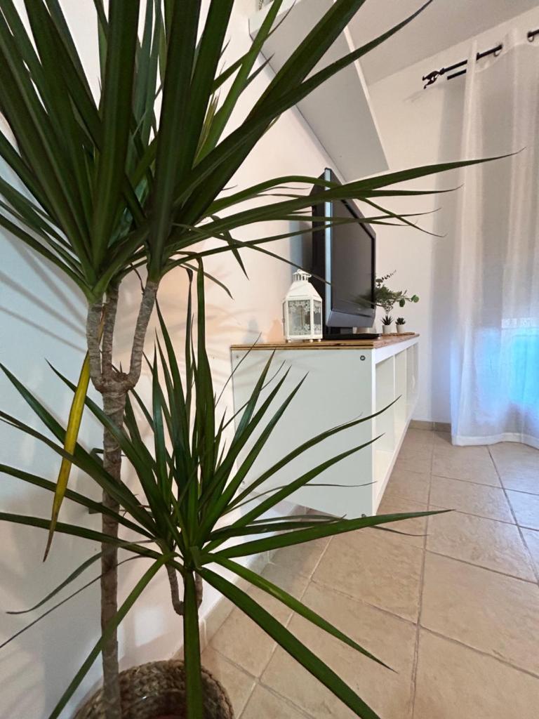 Rual Amanecer Room Type - One-Bedroom Apartment