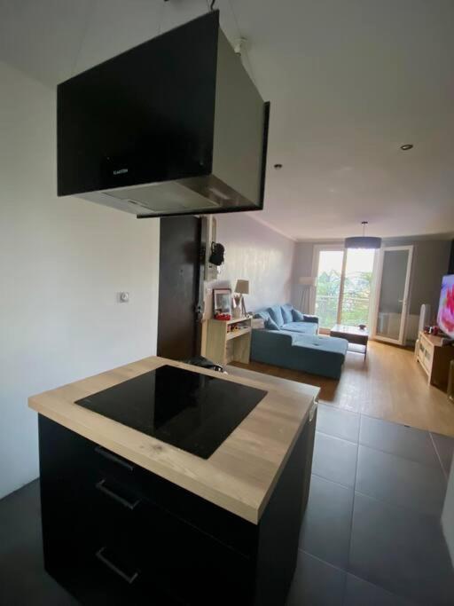 2 chambres avec vue sur Lyon photo 1