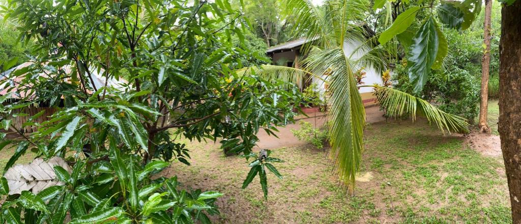 Thambapanni safari hostel photo 2