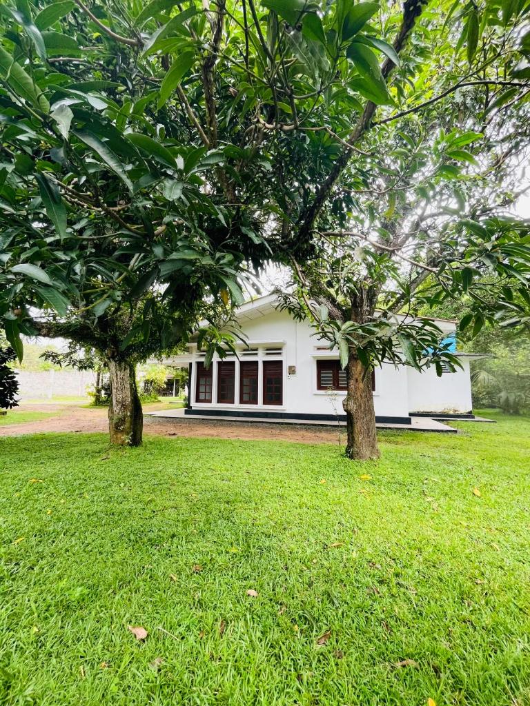 Tamarind moon guest stay