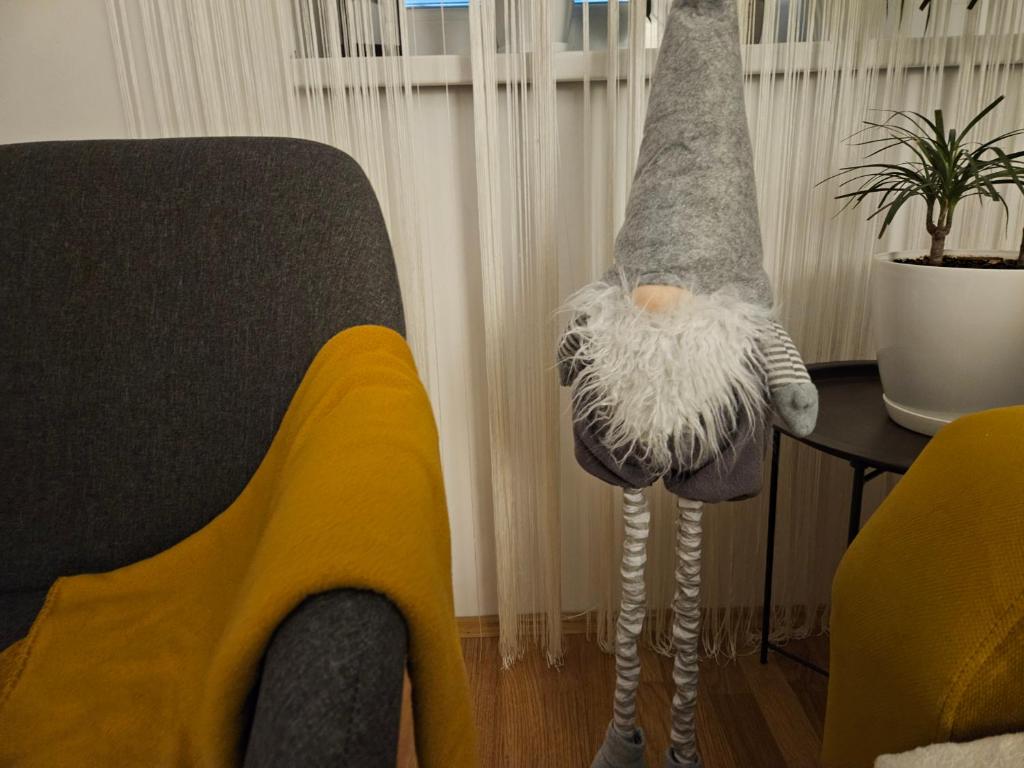 Apartman U2 photo 1
