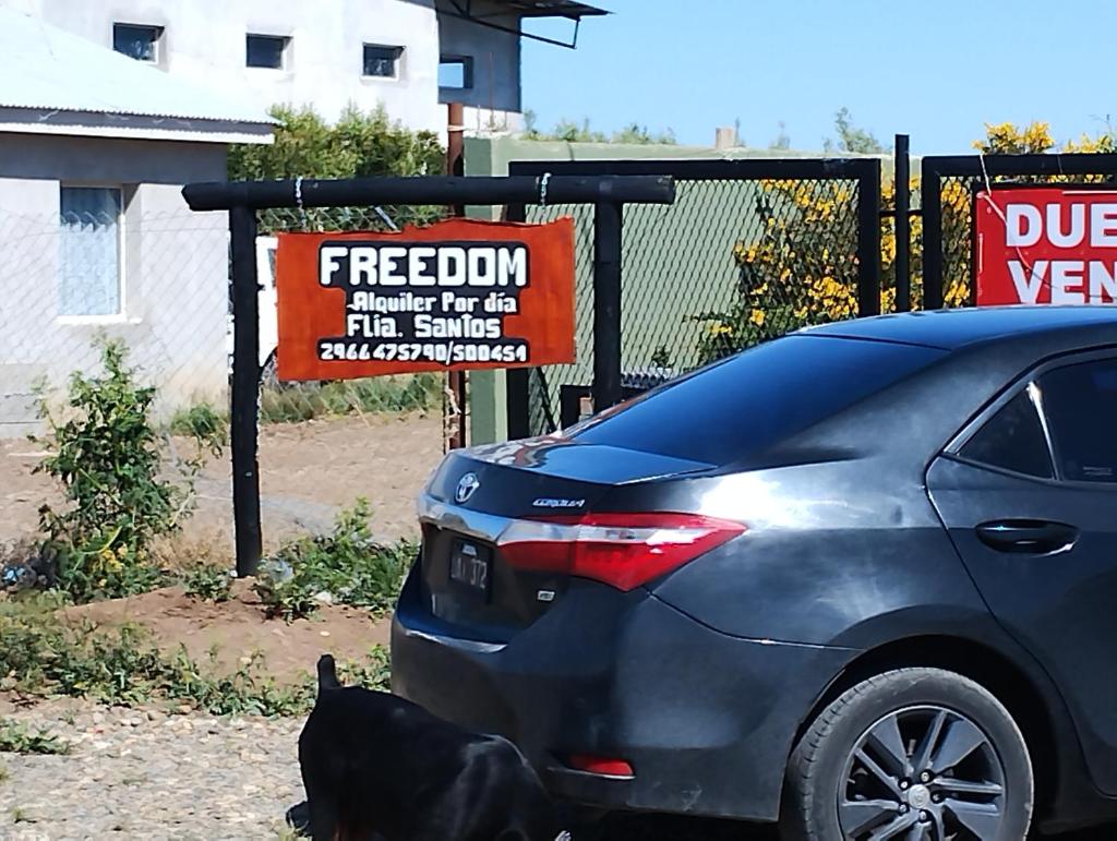 Freedom Ame photo 1