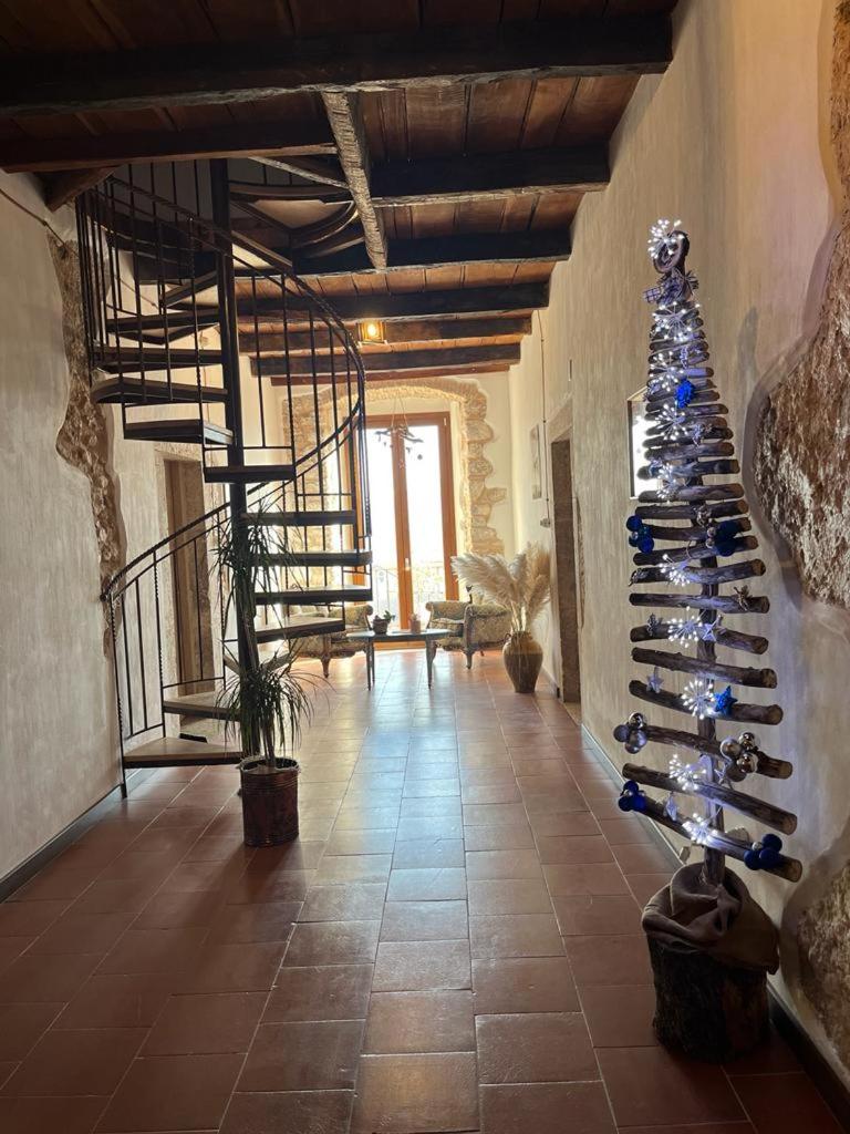 DOMUS VELA photo 4
