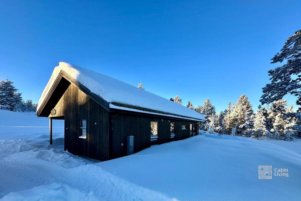 New cabin near X Country ski trails at Blefjell with Jacuzzi