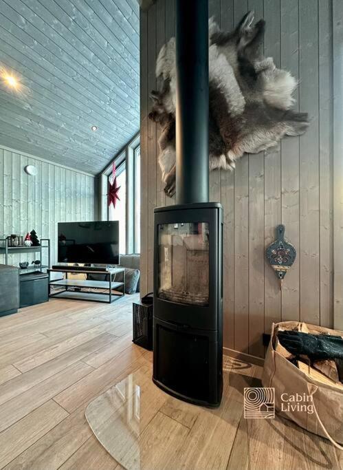 New cabin near X Country ski trails at Blefjell with Jacuzzi photo 4