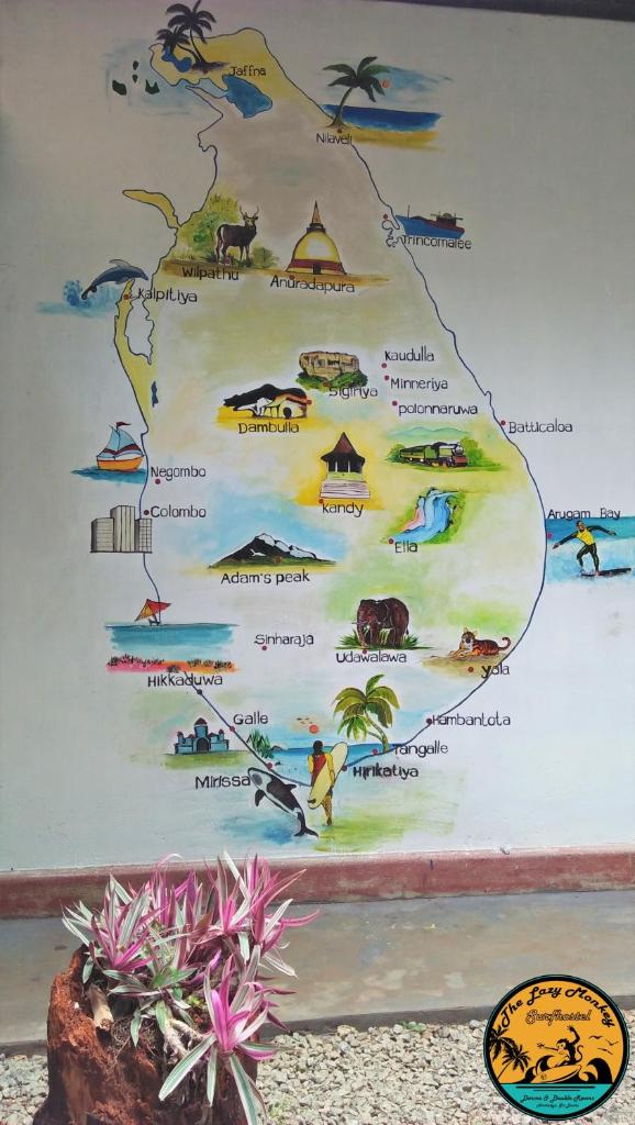 Lazy Monkey Surfhostel - Sri Lanka photo 4