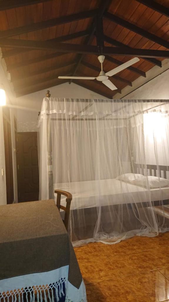 Shaddy Home photo 2