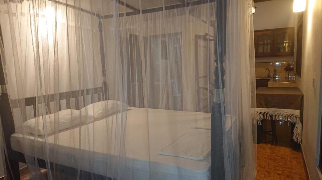 Shaddy Home photo 4