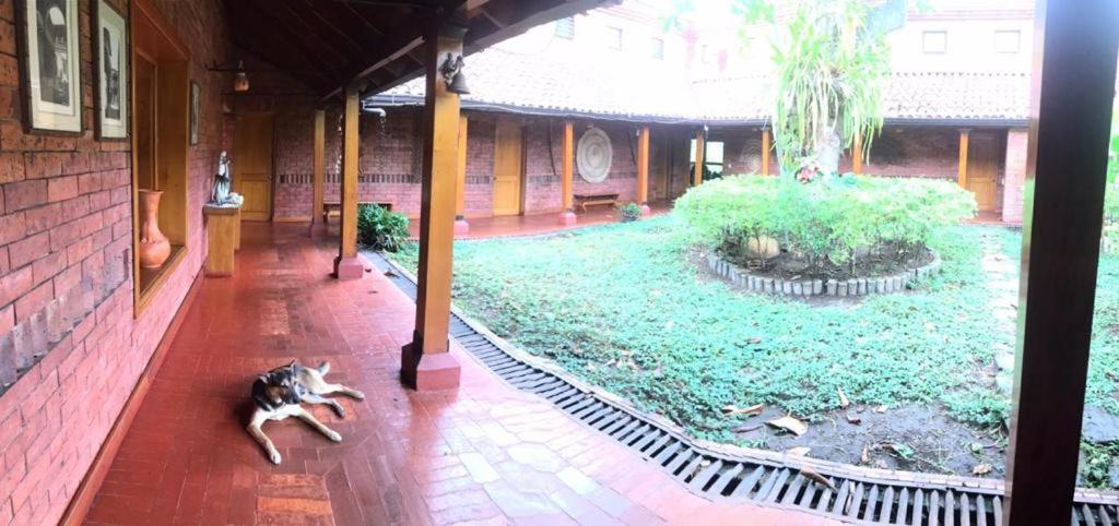 ANAPOIMA CAMPESTRE V. TOSCANA photo 2