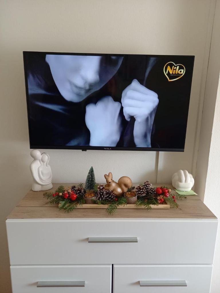 Apartman Central photo 3
