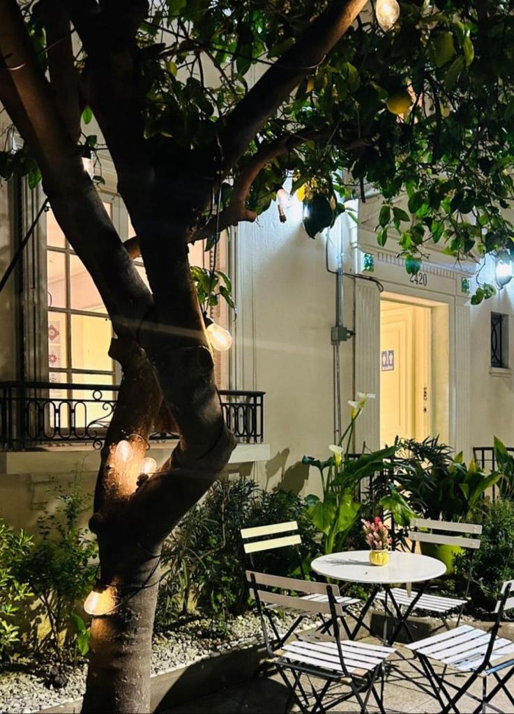 Yogi hostel boutique photo 4