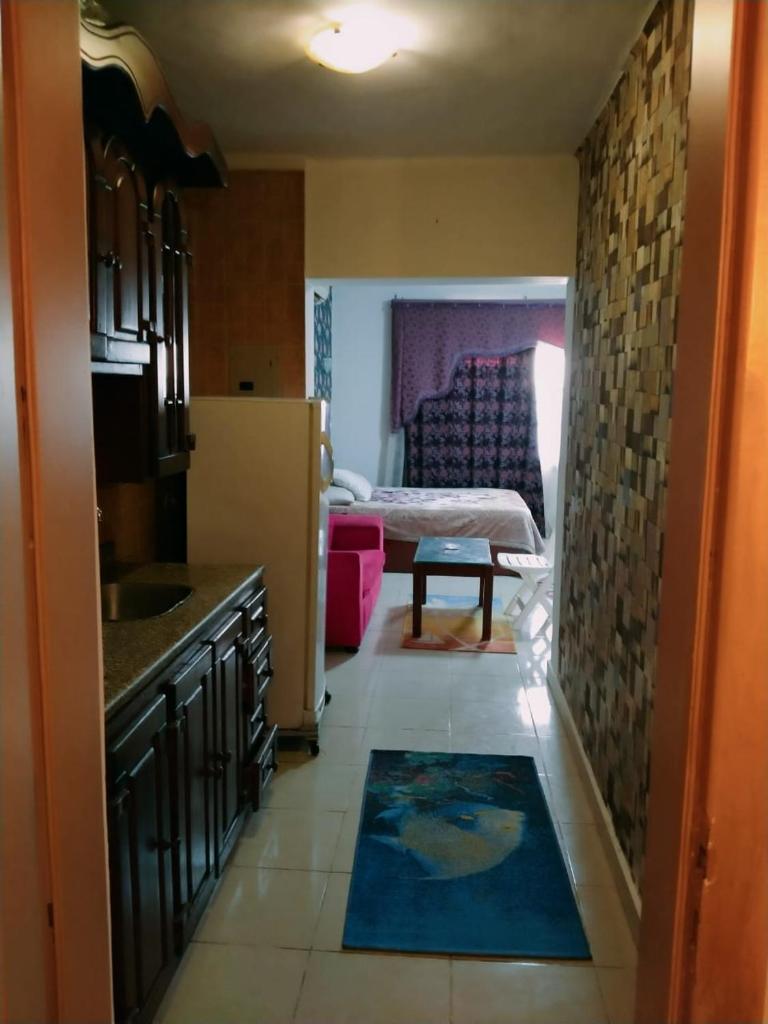 Shared room with the owner only at the Delta Hotel and Resort Sharm El Sheikh photo 3